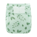 Zwemluier - BOTANICAL