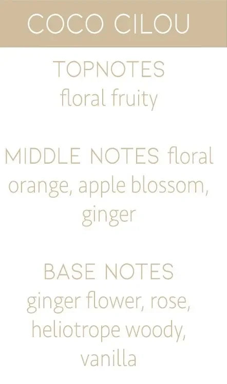 Geurstokjes L'envie de Valentine - ZIJDE BLOEMEN — Coco Cilou