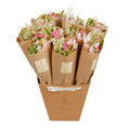 Droogbloemen boeket - Pink Elegance